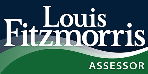 Louis Fitzmorris Assessor logo and political sign